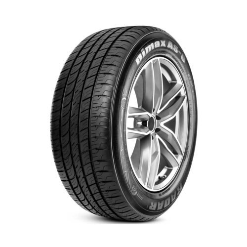 Buy RADAR DIMAX AS-8 215/55R17 94V – All-Season Performance Tire for Cars & SUVs