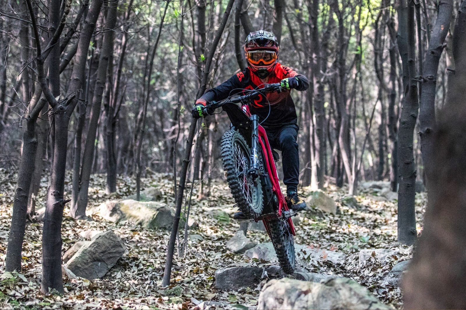 Buy Sur-Ron Light Bee S | Sur-Ron Light Bee S Electric Bike for Sale - Image 3