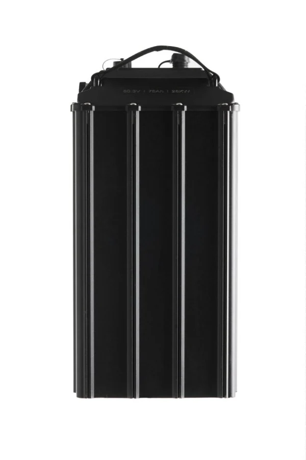 Ultra Bee Battery